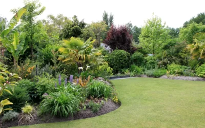 Élagage d’arbre à Hayange : préservez la santé et la sécurité de vos végétaux